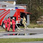 Bachstelze 2017
